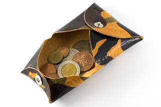 maf pinto コインケース レザー 革 小銭入れ 財布 カモフラージュ ライト