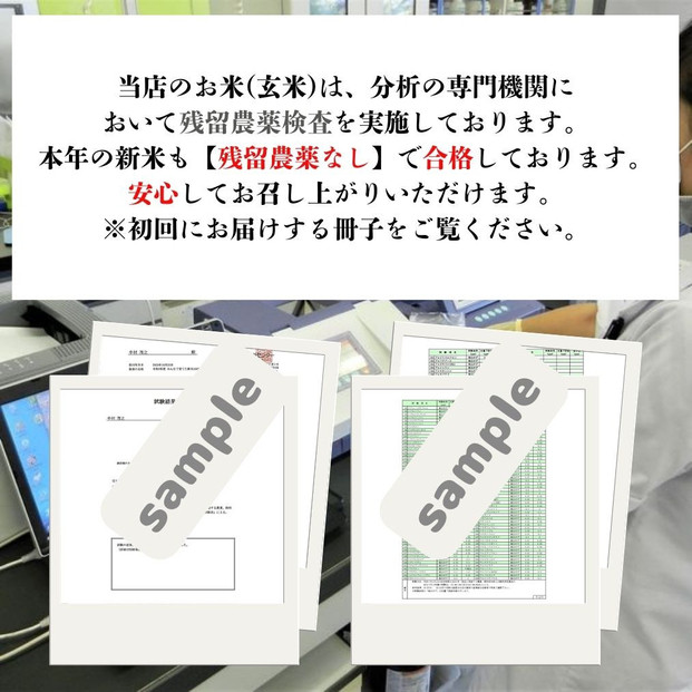 ※10月下旬より順次発送※令和7年産新米ひのひかり100%(自社保有田米) 10kg(小分け真空パック1000g×10) 福岡県 大川市