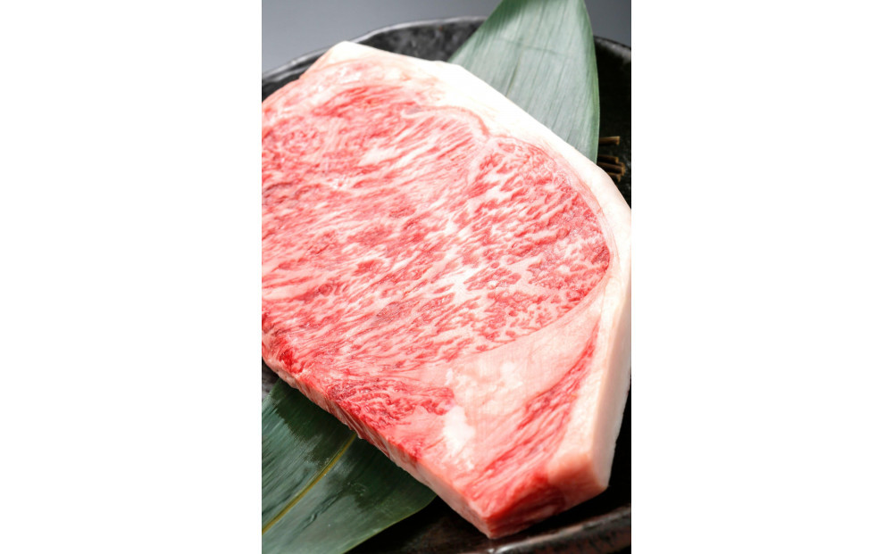 博多和牛　贅沢ロースセット