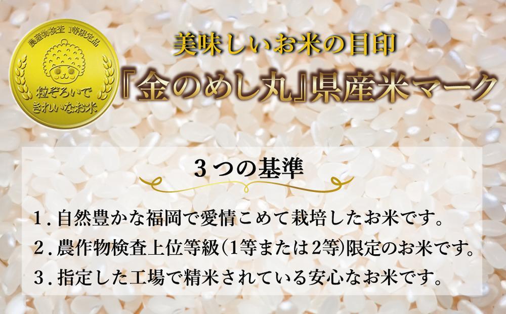 令和7年米 福岡県産 米 金のめし丸夢つくし 5kg (1袋)
