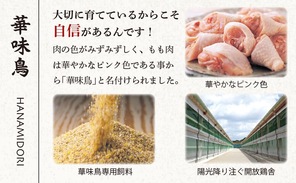 HM-A1 博多華味鳥 もつ鍋セット しょうゆ味 (3～4人前)