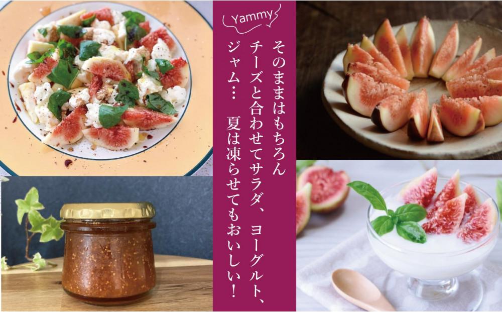 【福岡限定ブランド】いちじく とよみつひめ 300g×8パック (約2.4kg)