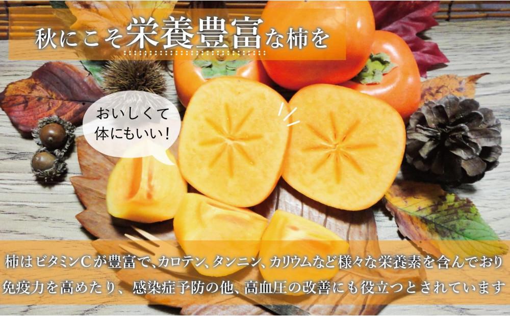 【福岡県産】秋王 約1.5kg