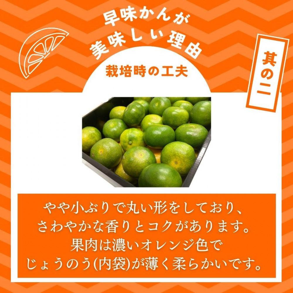 【2026年9月下旬より順次発送】福岡県産 早味かん 約4kg(40玉～50玉入) M・Sサイズ うまうまもぐもぐ