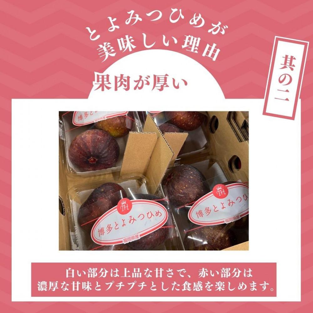 【2026年9月下旬より順次発送】福岡県産 とよみつ姫 約1.2kg以上(約300g×4パック入り) うまうまもぐもぐ