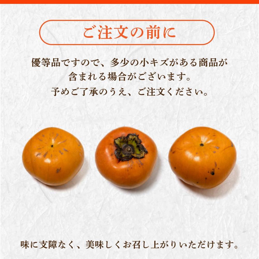 【2026年11月上旬より順次発送】福岡県産 博多秋王【優等品】約1.75kg以上(6玉入り)うまうまもぐもぐ