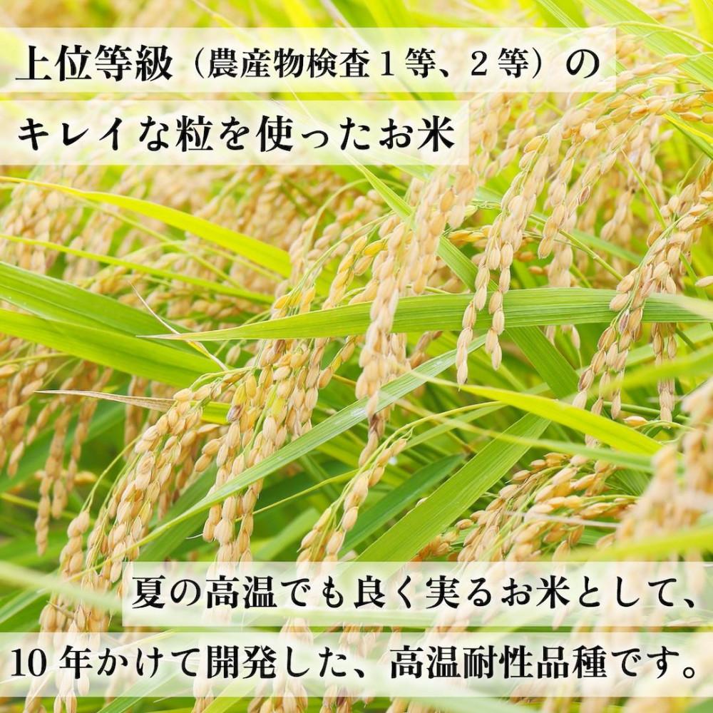 新米！！令和7年産 福岡県産米 元気つくし 合計30kg ( 5kg×6袋 )