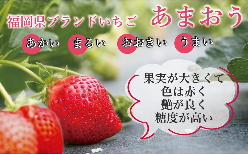 ★先行予約★いちごの王様 福岡県産博多あまおう270g×4パック【2026年2月中旬～3月順次出荷予定】