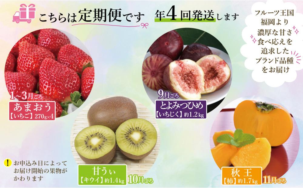 福岡フルーツ定期便A (あまおう・とよみつひめ・甘うぃ・秋王)【全4回】