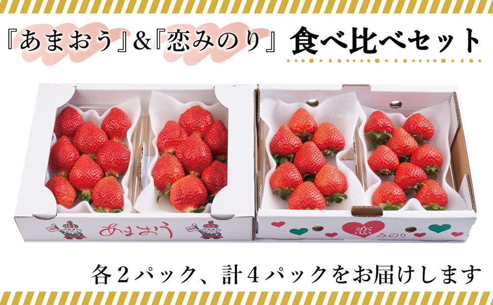 大川市産 あまおう・恋みのり 食べ比べ【2023年12月29日～2024年1月3日発送】