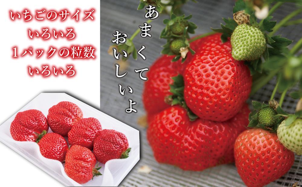 大川市産 あまおう 4パックセット【2023年12月29日～2024年1月3日発送】