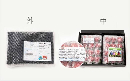 【今期発送の受付は2025年4月27日(日)まで】★福岡の産直いちご農家★武下さんちの「完熟あまおう」3Lサイズ 450g