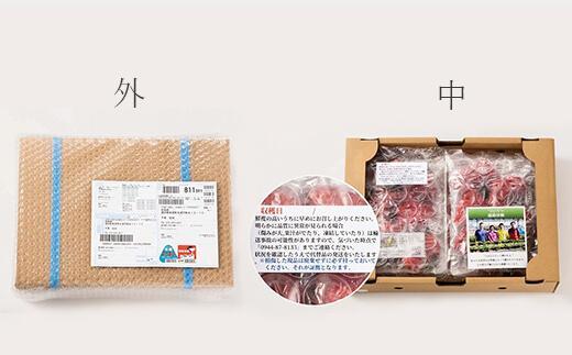 【今期発送の受付は2025年4月27日(日)まで】★開けてびっくり★驚きのボリューム完熟あまおう大玉詰め合わせ1200g