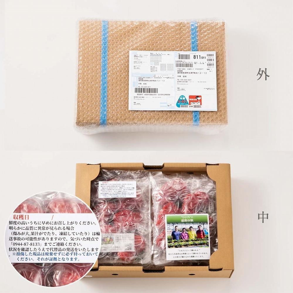 【今期発送の受付は2025年4月27日(日)まで】★身近な人間関係のお祝いに★「完熟あまおう」3L～4Lミックス詰め合わせ 900g入り