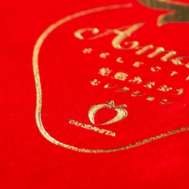 【今期発送の受付は2025年4月27日(日)まで】★希少4Lサイズ 450g ★赤のVIPボックスに入った宝石のような「完熟あまおう」！