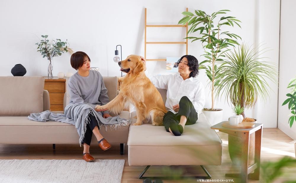 【本体取替カバー(同色)セット】 ミゲル ソファ 200cm 3人掛け スモークアイボリー【モーブル】【大川家具】