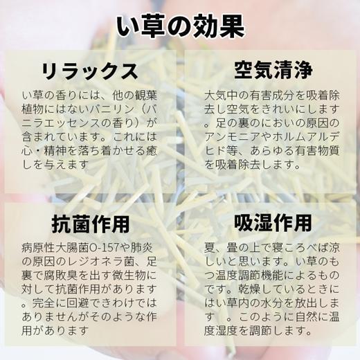 国産い草ラグ　 DX桃山 スベリ止め加工 ベージュ 200×250