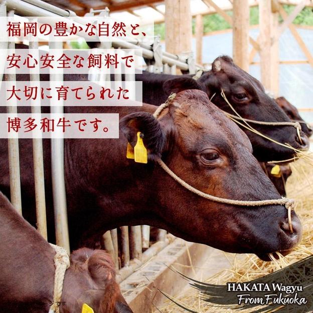 博多和牛　肩ロース焼肉　約700g