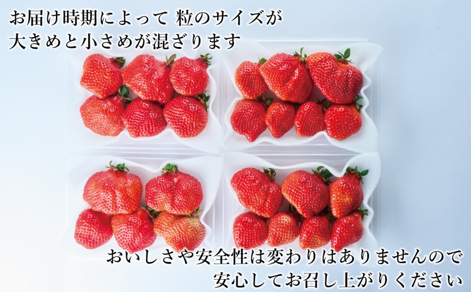 【2026年2月1日～4月30日までに発送！】有機肥料にこだわったたっちゃん家の完熟あまおう（270g×4パック）【配送不可地域：北海道・沖縄・離島】