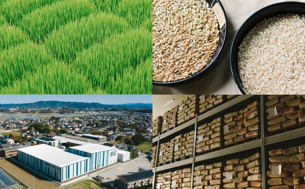 【福岡県産元気つくしをお届け】ふるさと納税 らくらくお米便　30kgコース