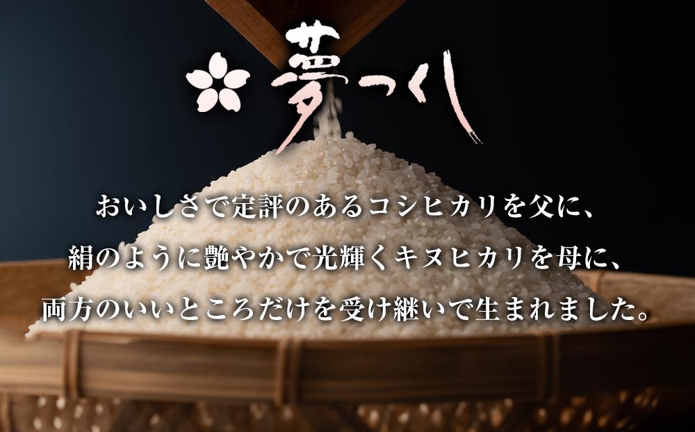 【新米 令和7年産】福岡県産 米 夢つくし 5kg × 1袋