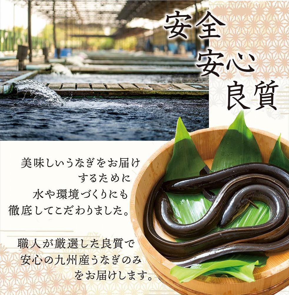 国産 うなぎ蒲焼 2尾 約350g