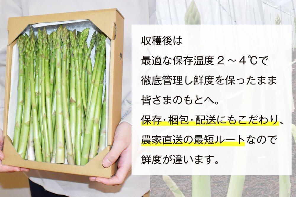 【朝採り直送】夏芽アスパラガス 1kg（2L-Lサイズ）福岡県産 2026年