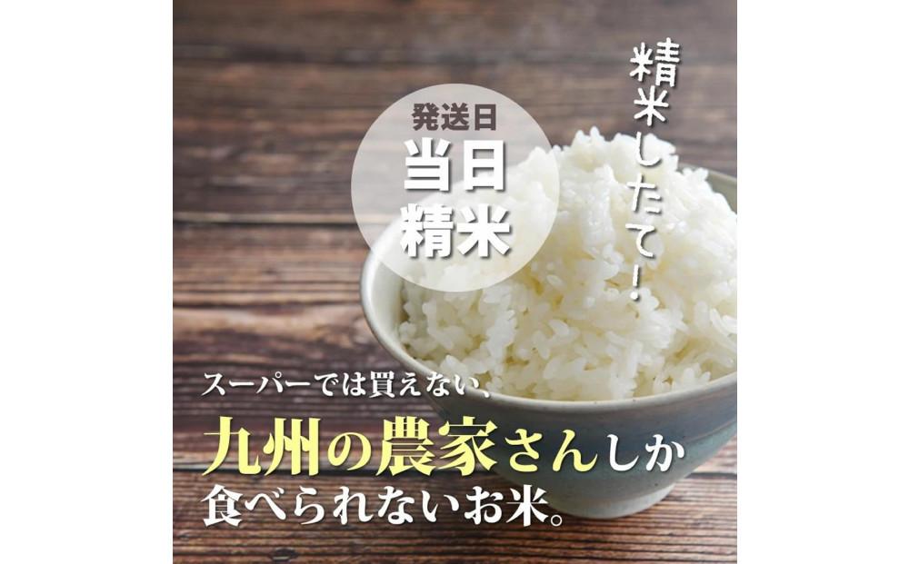 令和7年産 福岡県産【特A】評価のお米「元気つくし」5kg×1袋 5kg [白米]