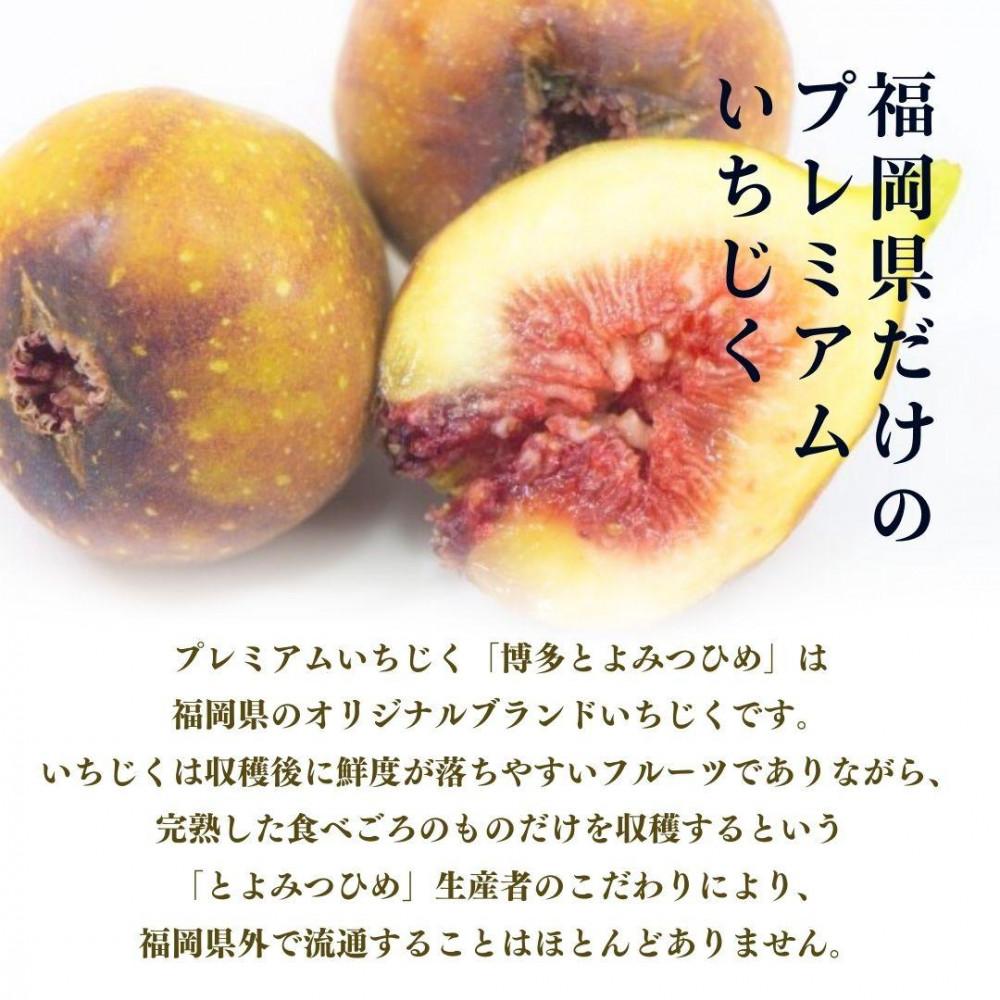 【2026年9月下旬より順次発送】福岡県産 とよみつ姫 約1.2kg以上(約300g×4パック入り) うまうまもぐもぐ