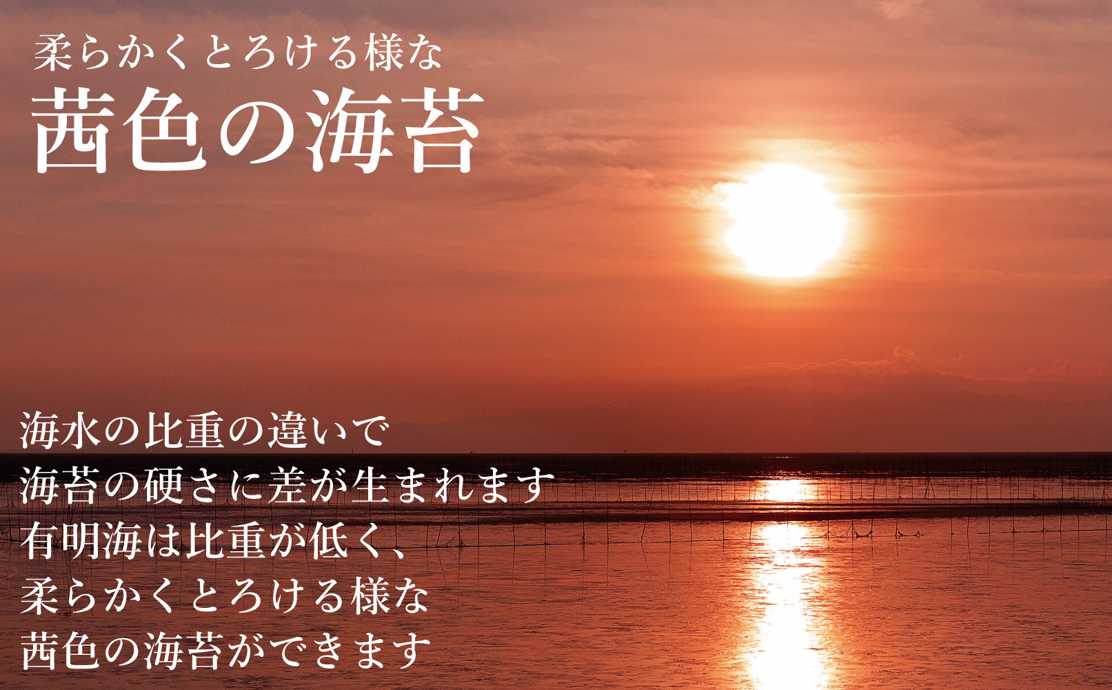 【全3回毎月定期便】焼き海苔 福岡有明海苔ボトル4本(10切100枚×4本 計400枚) 【福岡有明海産】