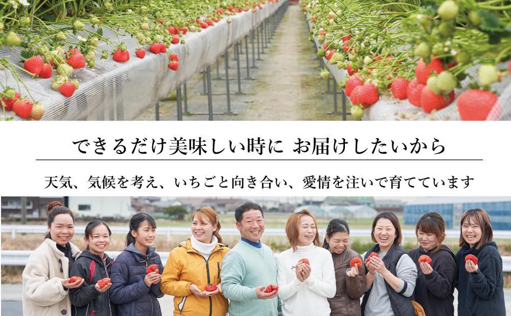 大川市産 あまおう・恋みのり 食べ比べ【2023年12月29日～2024年1月3日発送】
