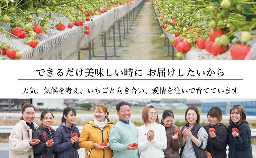 大川市産 あまおう 4パックセット【2023年12月29日～2024年1月3日発送】