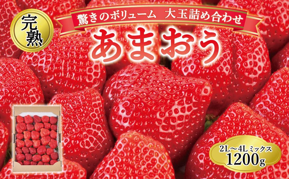 【今期発送の受付は2025年4月27日(日)まで】★開けてびっくり★驚きのボリューム完熟あまおう大玉詰め合わせ1200g