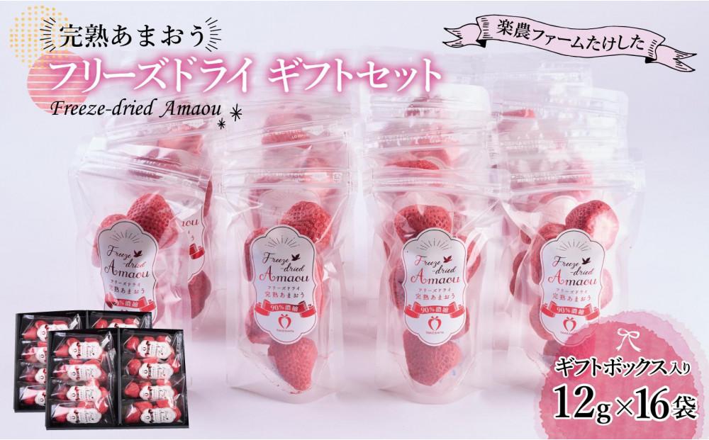 形も味もそのまま楽しめる！完熟あまおう【フリーズドライギフトセット】 (12g×16袋)