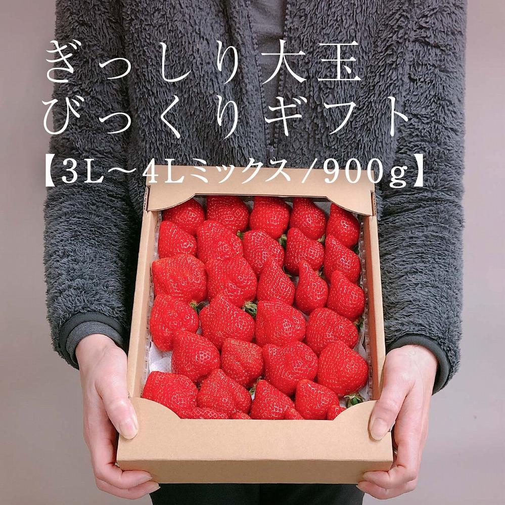 【今期発送の受付は2025年4月27日(日)まで】★身近な人間関係のお祝いに★「完熟あまおう」3L～4Lミックス詰め合わせ 900g入り