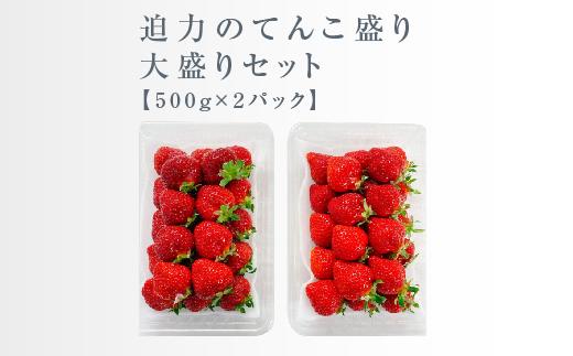 【今期発送の受付は2025年4月27日(日)まで】武下さんちのあまおう 中玉盛り合わせ1000g（500g×2パック）