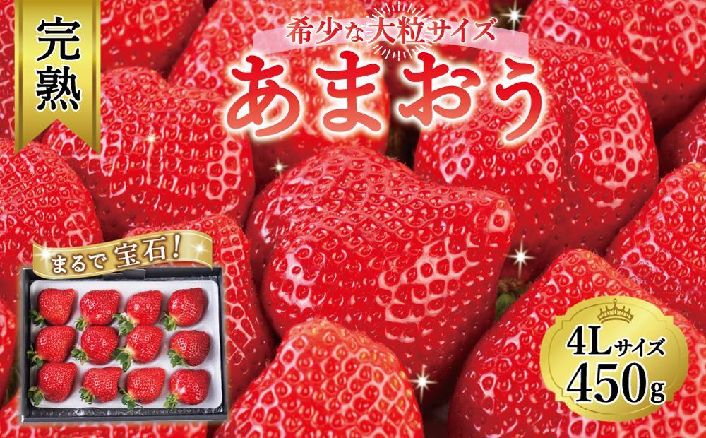 【今期発送の受付は2025年4月27日(日)まで】まるで宝石！希少な大粒サイズ！「完熟あまおう」4Lサイズ450g入り