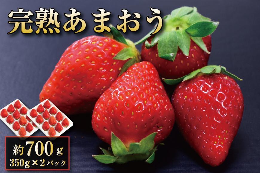 【12月中旬以降出荷予定】完熟 あまおう イチゴ 350g×2パック(約700g)＜配送不可：北海道、沖縄県、離島＞
