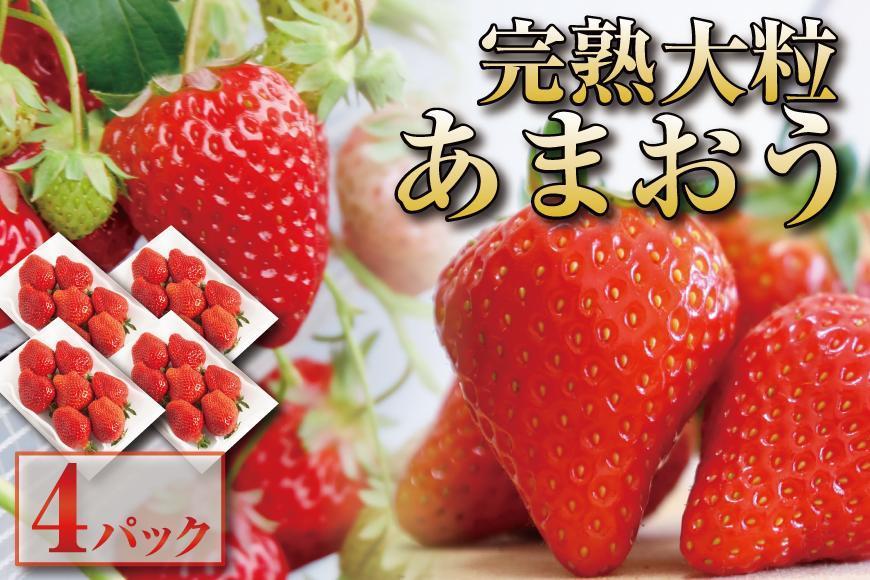 【2026年1月～3月出荷予定】完熟 大粒 あまおう イチゴ 280g×4パック(約1120g)＜配送不可：北海道、沖縄県、離島＞
