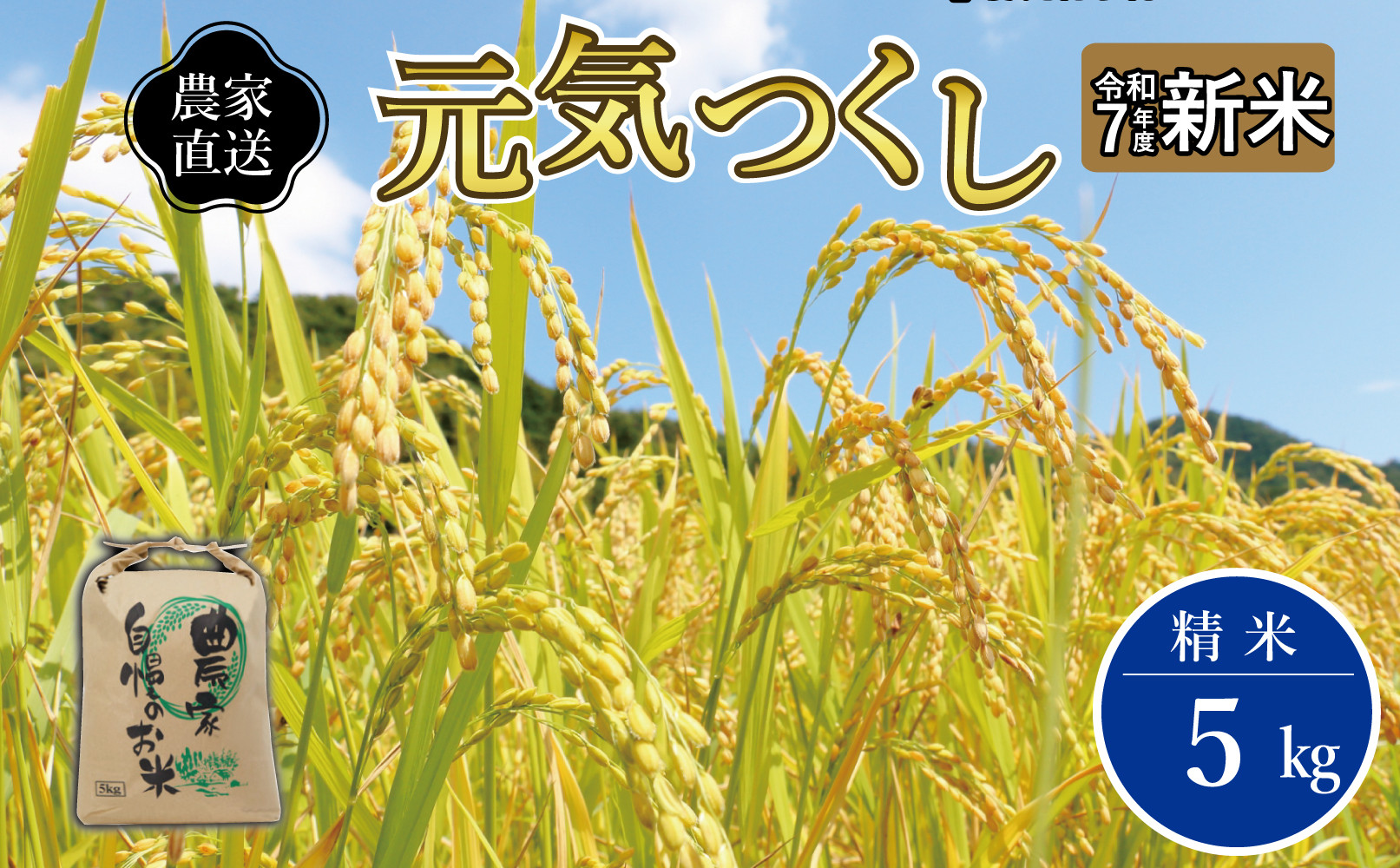 《令和7年産 》福岡県大川市産 ブランド 米「 元気つくし 」 5kg
