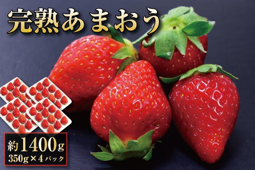 【2026年1月～2月出荷予定】完熟 あまおう イチゴ 350g×4パック(約1400g)＜配送不可：北海道、沖縄県、離島＞