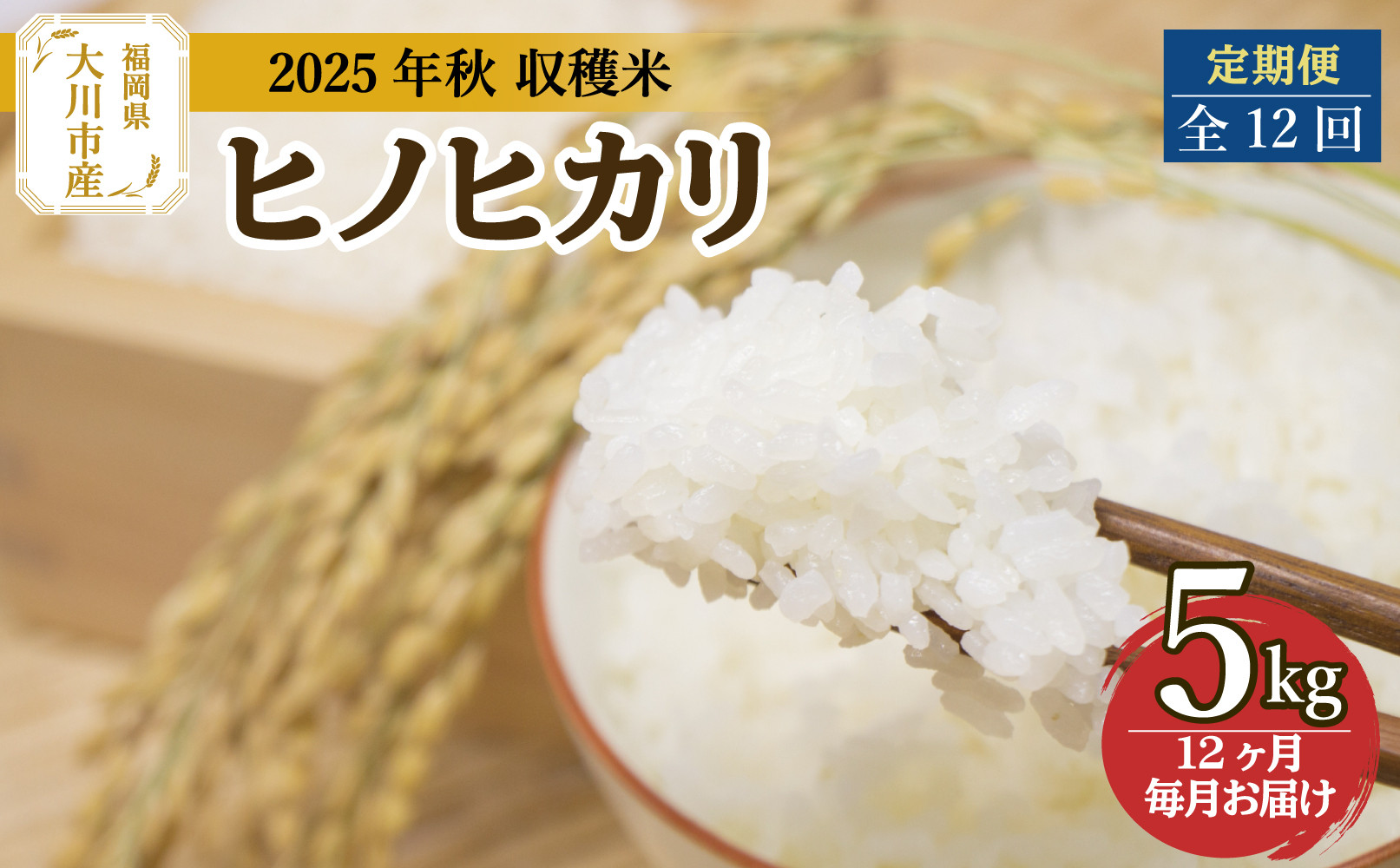 全12回定期便 福岡県大川市産ヒノヒカリ(2025年秋収穫のお米)5kg×12回