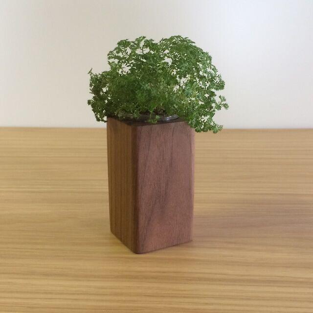 【かわいい四角い木製ポット】キャンドル・植物どちらでも使えます＜ウォールナット材　オイルフィニッシュ＞