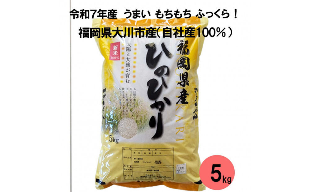 福岡県産米 ひのひかり 5kg （福岡県 大川市産）
