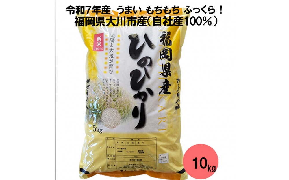 福岡県産米 ひのひかり 10kg （福岡県 大川市産）