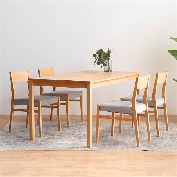 DT01 DC01 5点 150 ダイニングセット ビーチクリア アネルカグレー テーブル 椅子