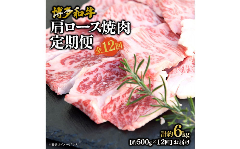 博多和牛 肩ロース焼肉 定期便全12回 約6kg(約500g×12回)