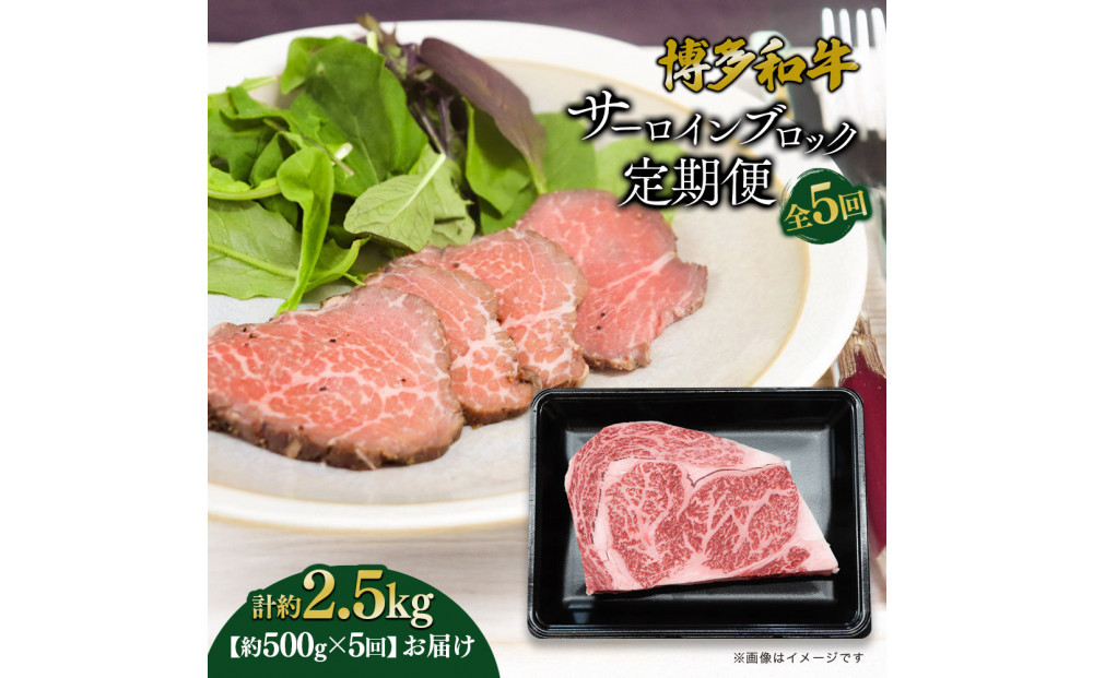 博多和牛 サーロインブロック 定期便全5回 計約2.5kg(約500g×5回)