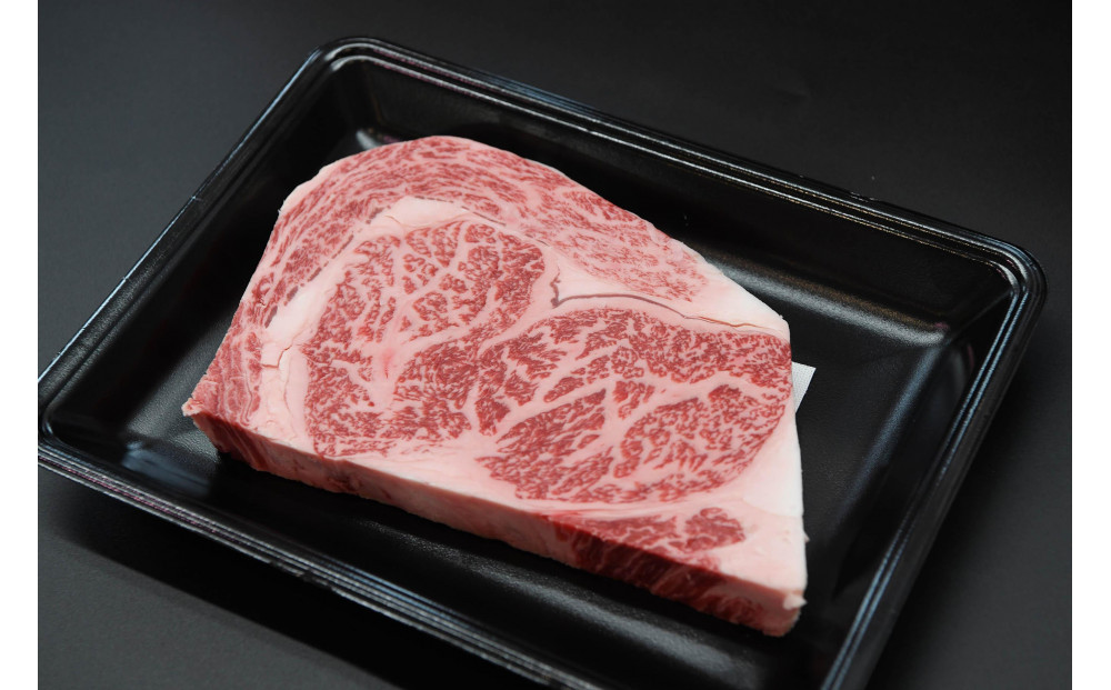 博多和牛 リブロースブロック 定期便全6回 計約3kg(約500g×6回)