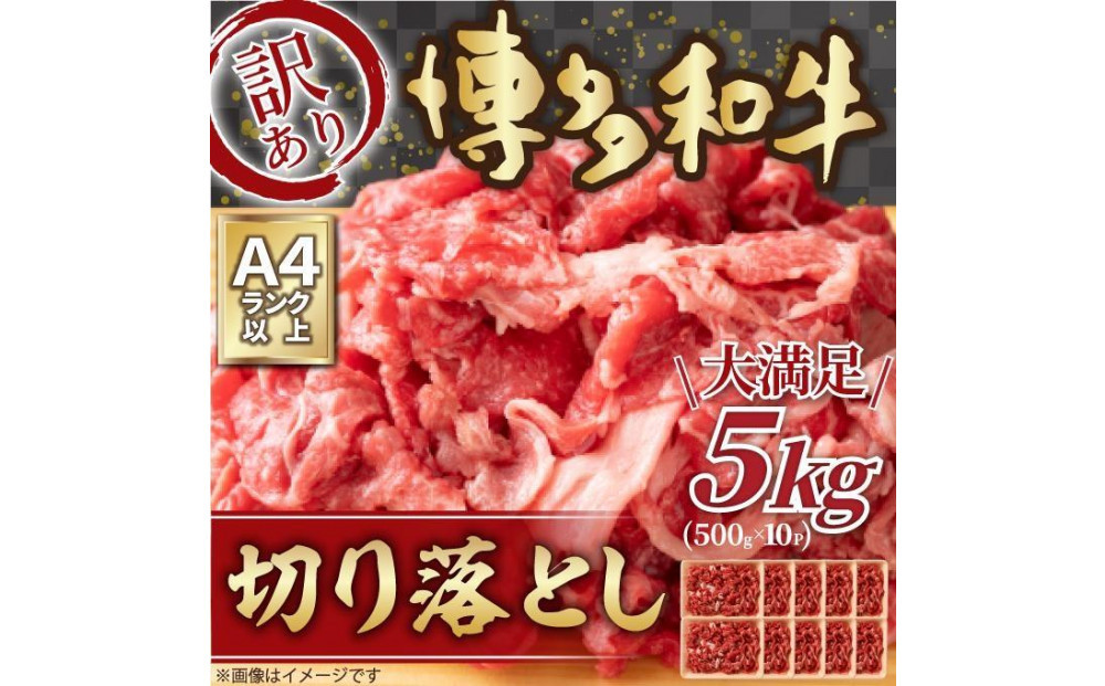 訳あり 博多和牛 切り落とし 5kg ( 500g×10パック )